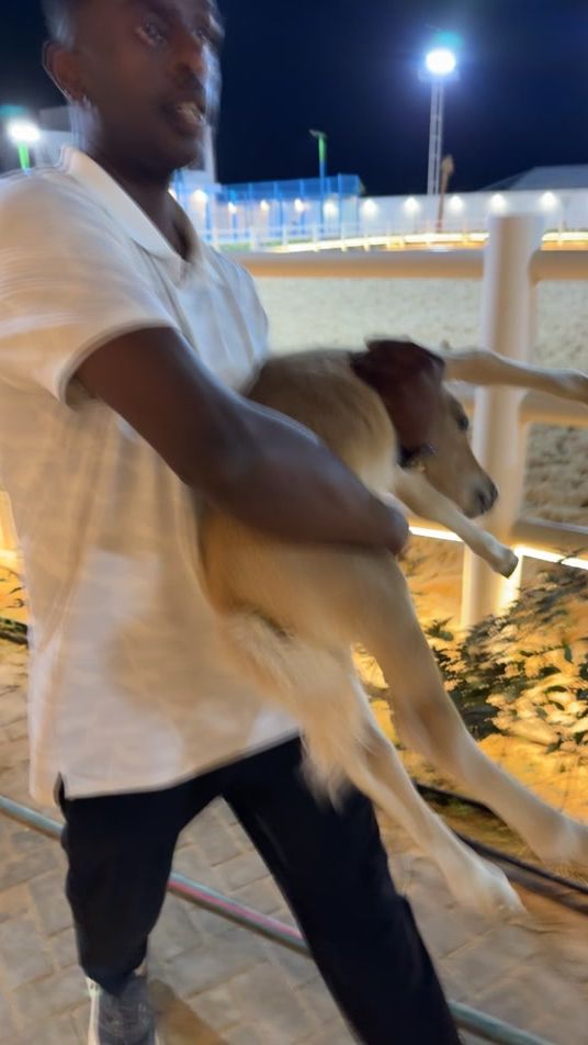 TikTok video thumbnail by dego77