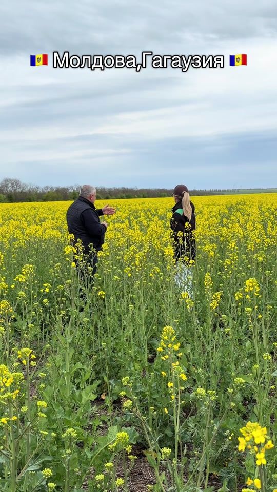 TikTok video thumbnail by cumnuc_agro