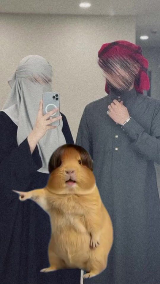 TikTok video thumbnail by ll12_p