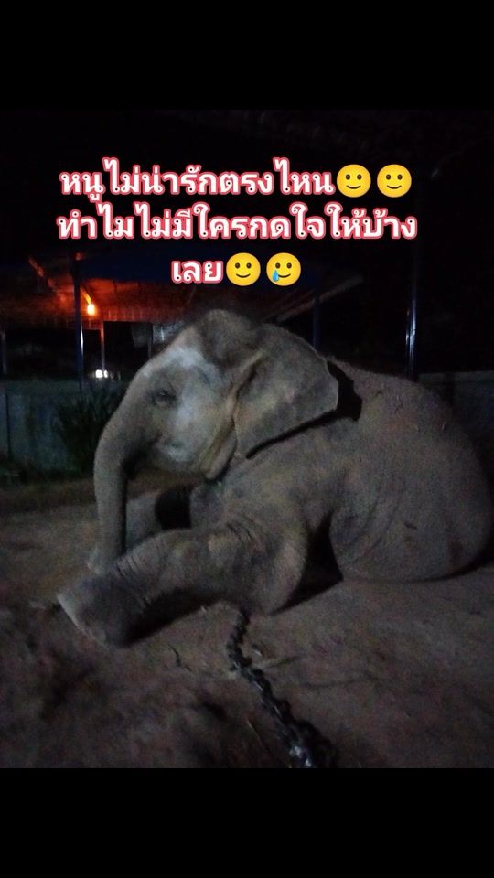 TikTok video thumbnail by nattharida10