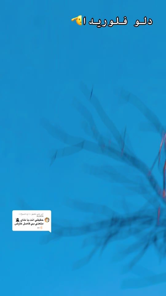 TikTok video thumbnail by hamedadam27