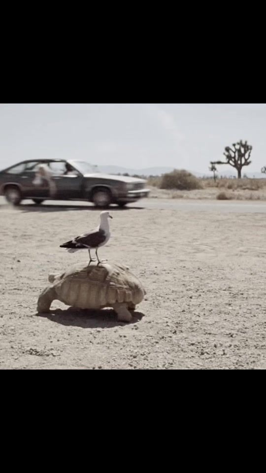 TikTok video thumbnail by kittconnor4ever