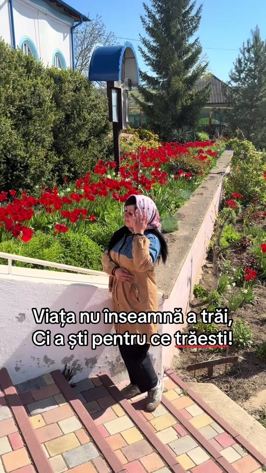 TikTok video thumbnail by delitel.md