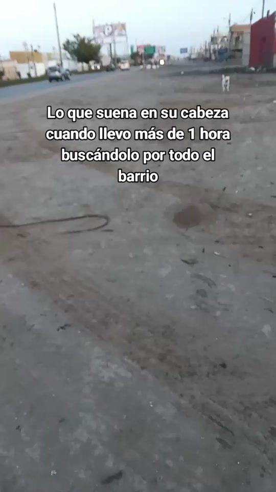 TikTok video thumbnail by rex.y.sus.amigos1