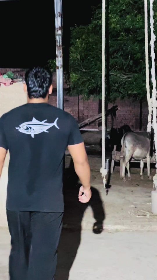 TikTok video thumbnail by musab.sikander