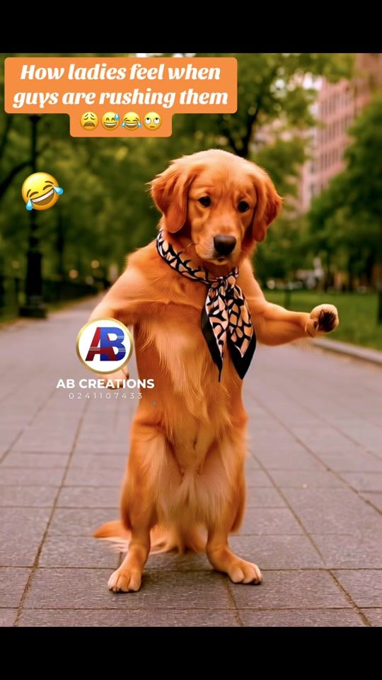 TikTok video thumbnail by abcreations_best_editor