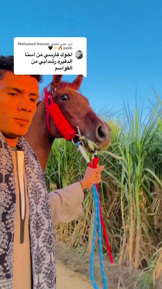 TikTok video thumbnail by alifadel70