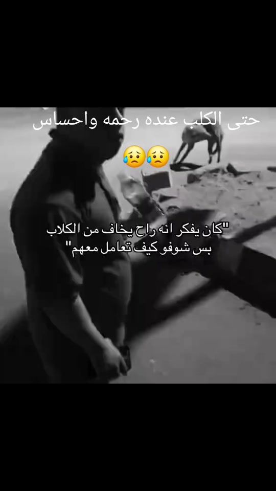 TikTok video thumbnail by alraed225