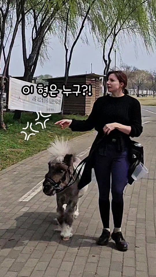 TikTok video thumbnail by wallytherapy
