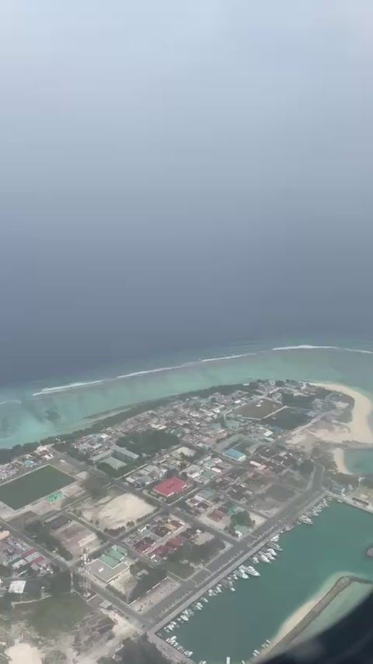 TikTok video thumbnail by dhennoon