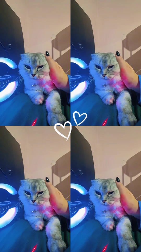 TikTok video thumbnail by kokofier