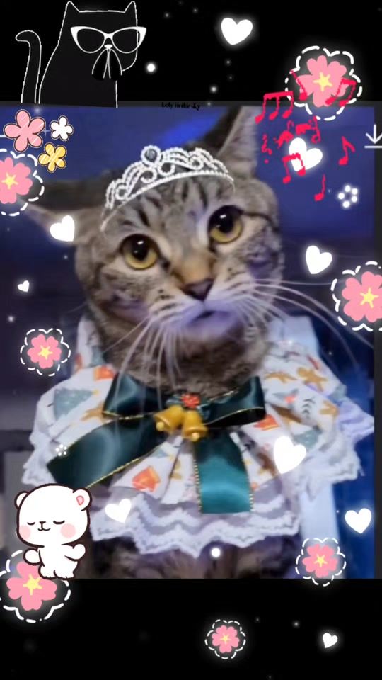 TikTok video thumbnail by miyuki02247