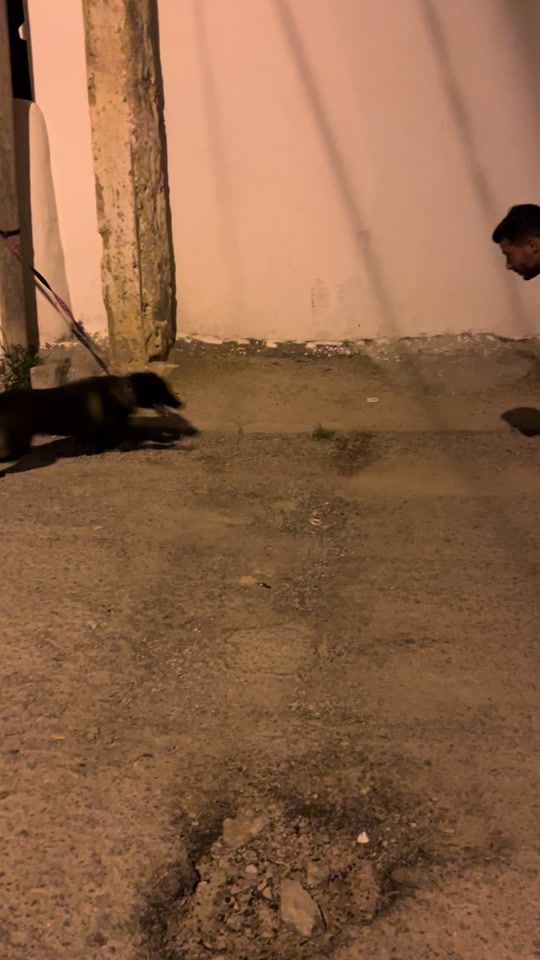 TikTok video thumbnail by fakhri.ben.slim