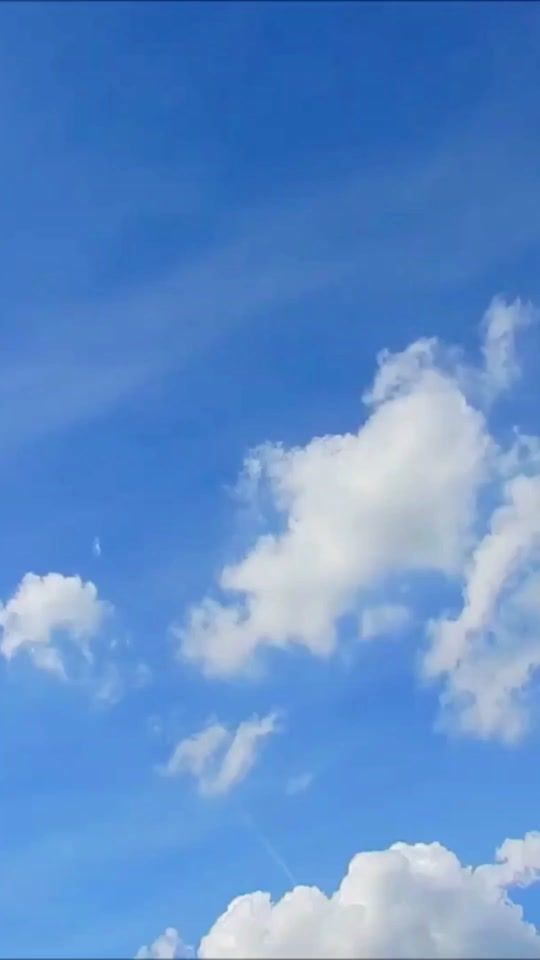 TikTok video thumbnail by dhammasparknotes