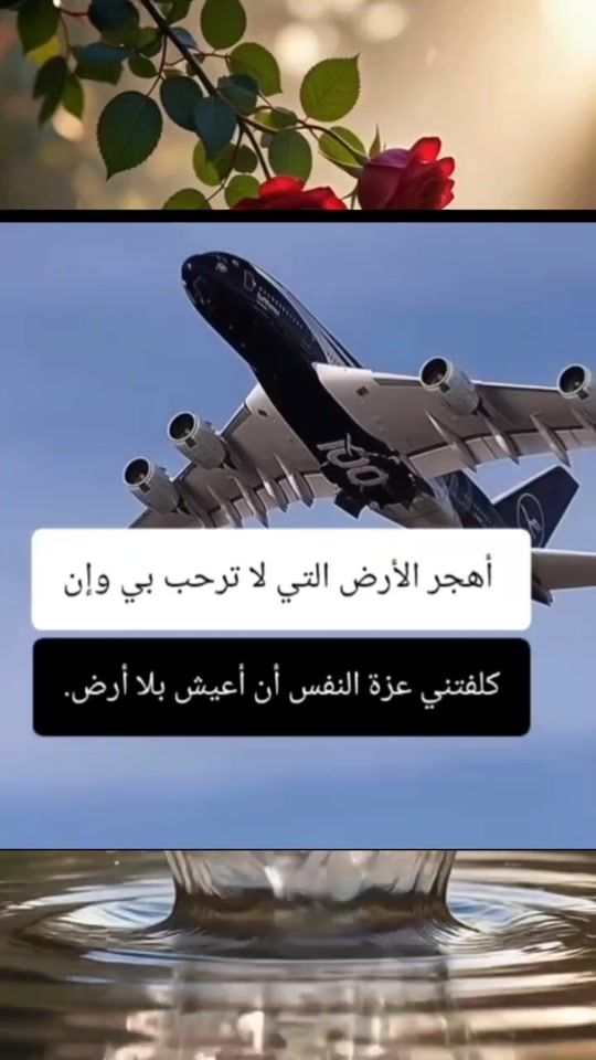 TikTok video thumbnail by moutafeila_bleh