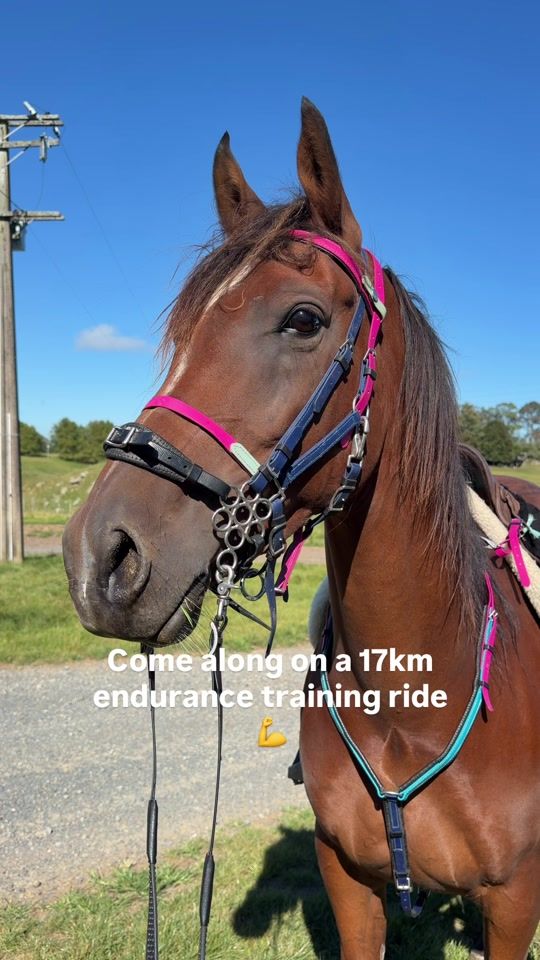 TikTok video thumbnail by kiwi_endurance