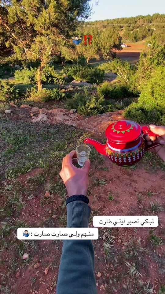 TikTok video thumbnail by n_ez.a_l