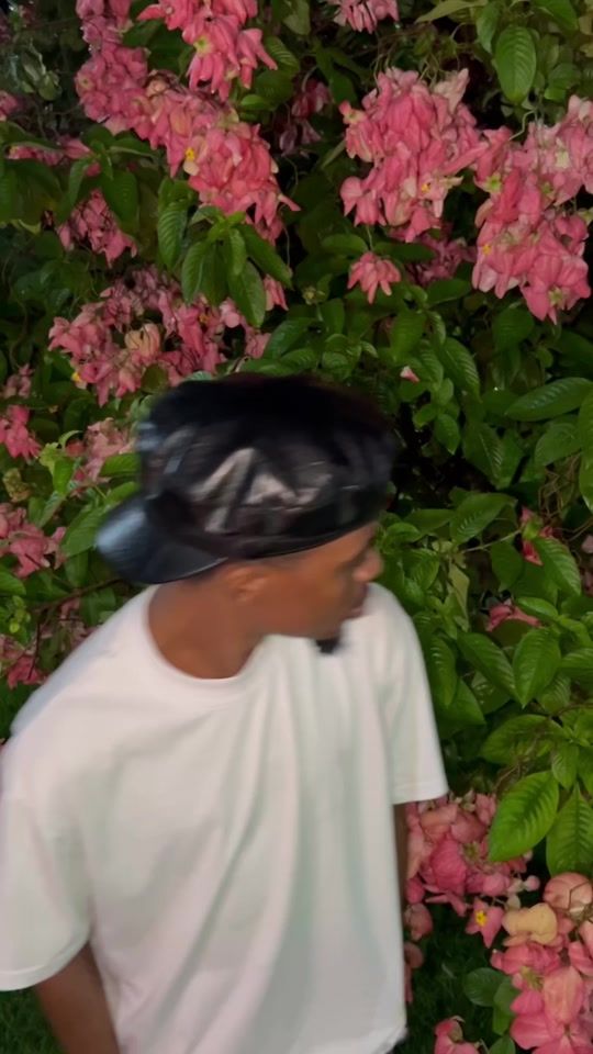TikTok video thumbnail by toxic_fuvu