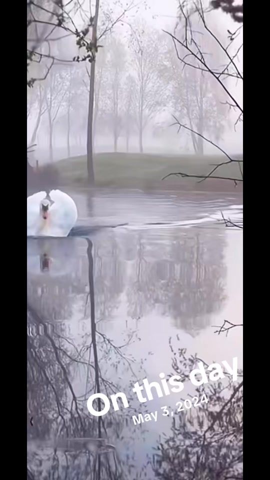 TikTok video thumbnail by dishani_chalanika