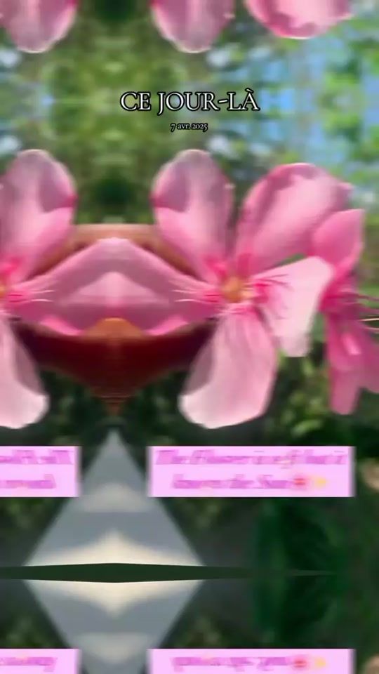 TikTok video thumbnail by _agro_vibes_