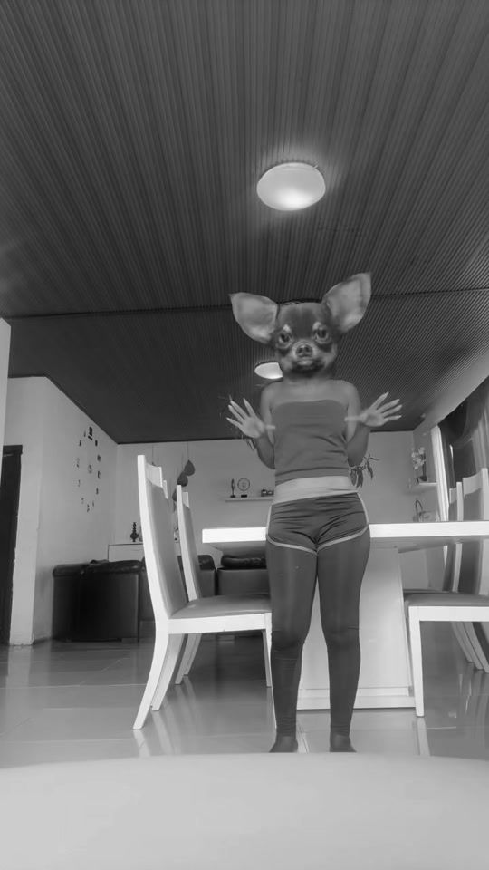 TikTok video thumbnail by esmeralda.pelo25