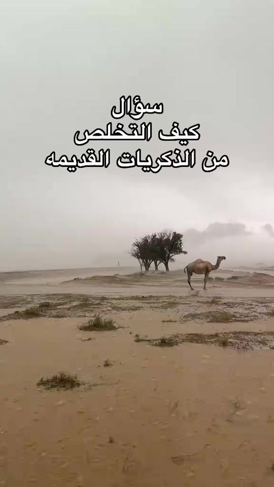 TikTok video thumbnail by nayef.35