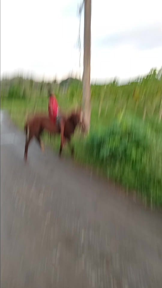 TikTok video thumbnail by ravneshchand6