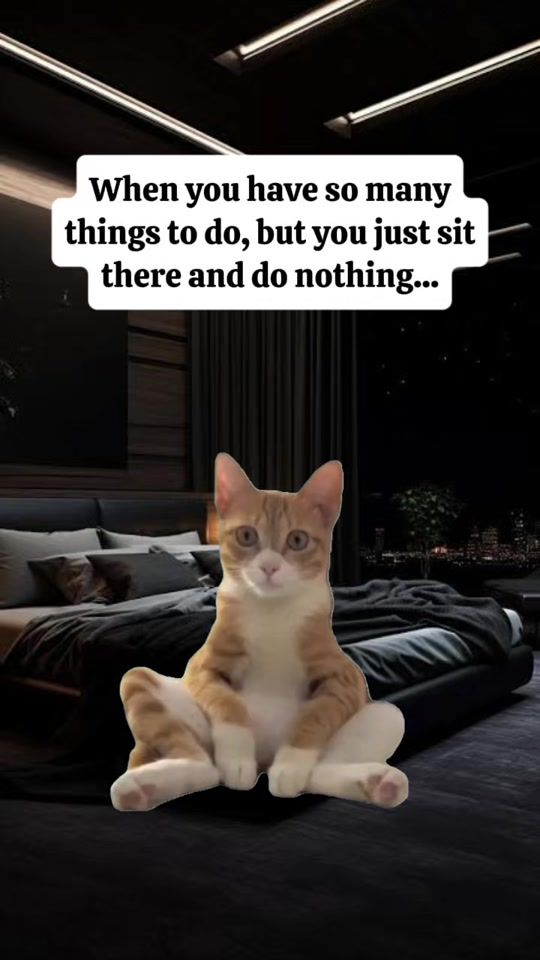 TikTok video thumbnail by aldrione_mercedes