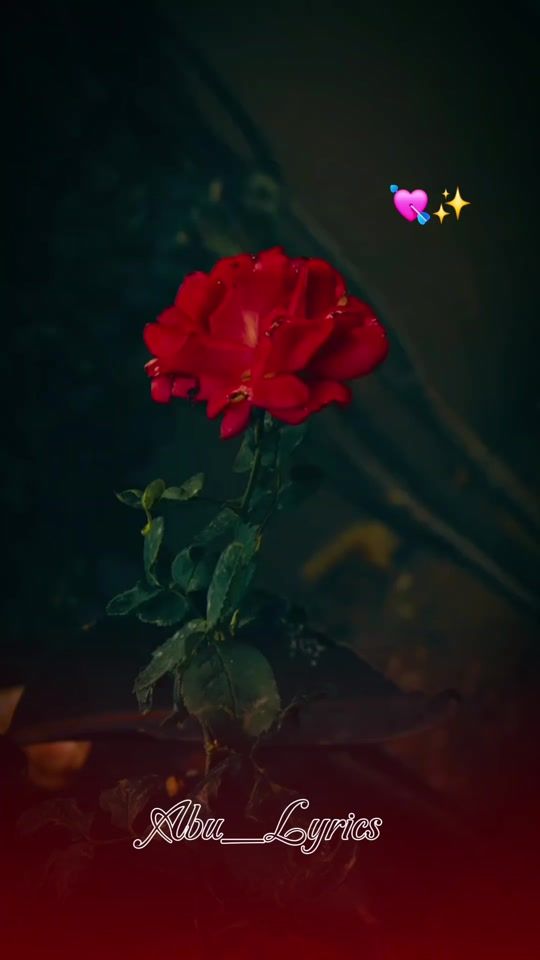 TikTok video thumbnail by abu_music21