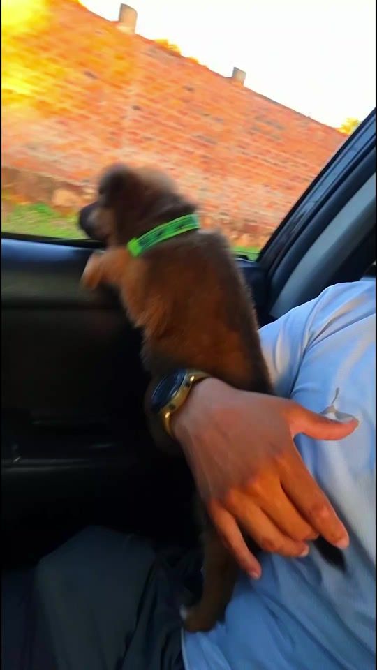 TikTok video thumbnail by senseic