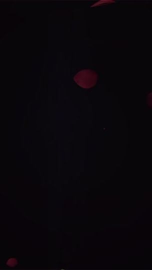 TikTok video thumbnail by emmyrossm
