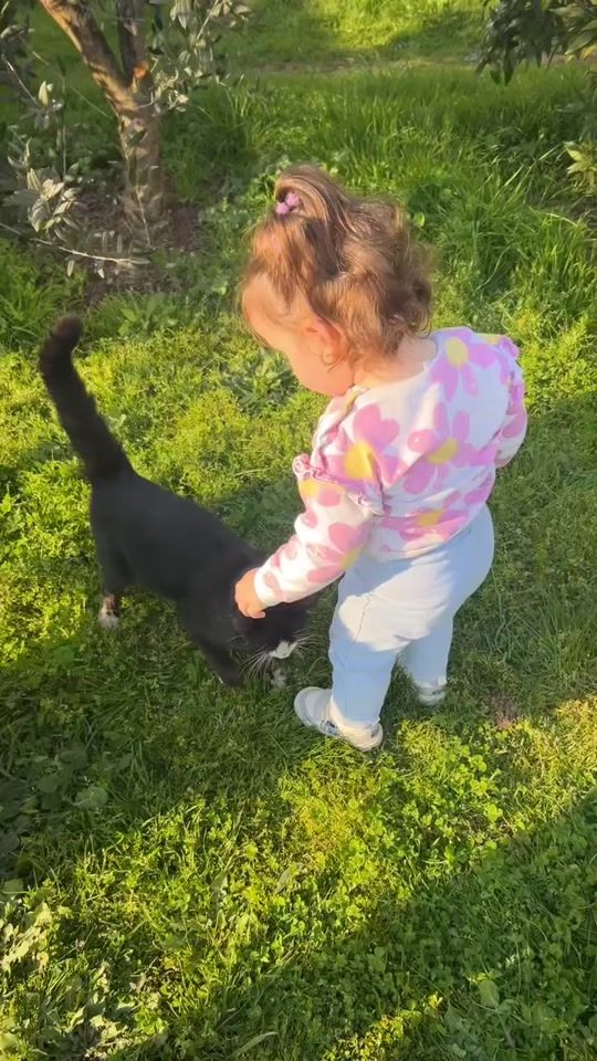 TikTok video thumbnail by adna.blog