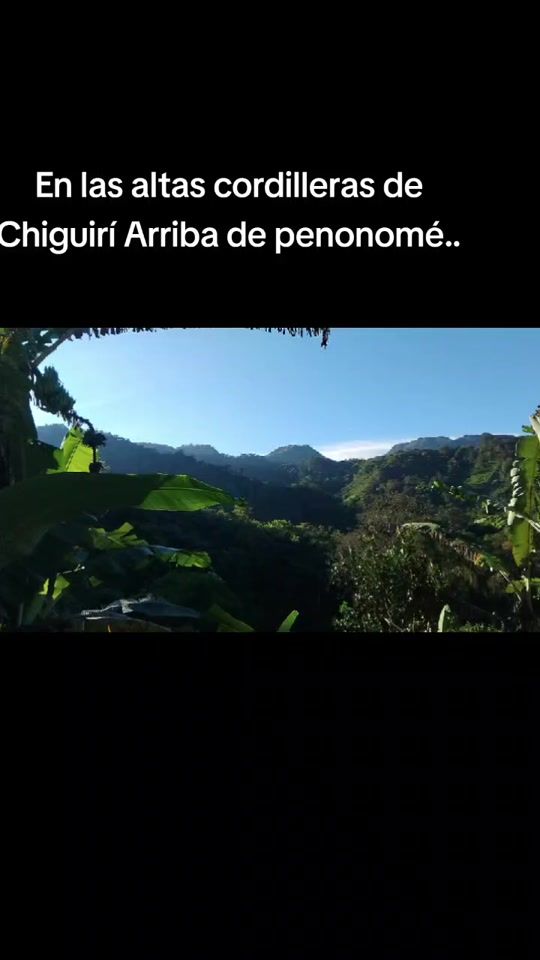TikTok video thumbnail by alfredopalaciosproductor