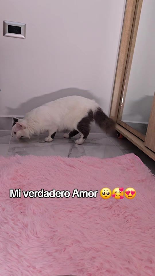 TikTok video thumbnail by suarez9228