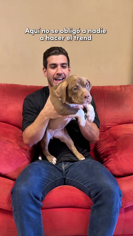 TikTok video thumbnail by stefano_navasprieto