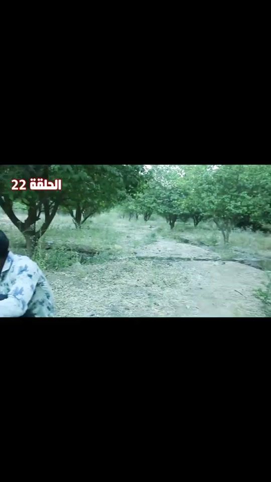 TikTok video thumbnail by omer.ogal