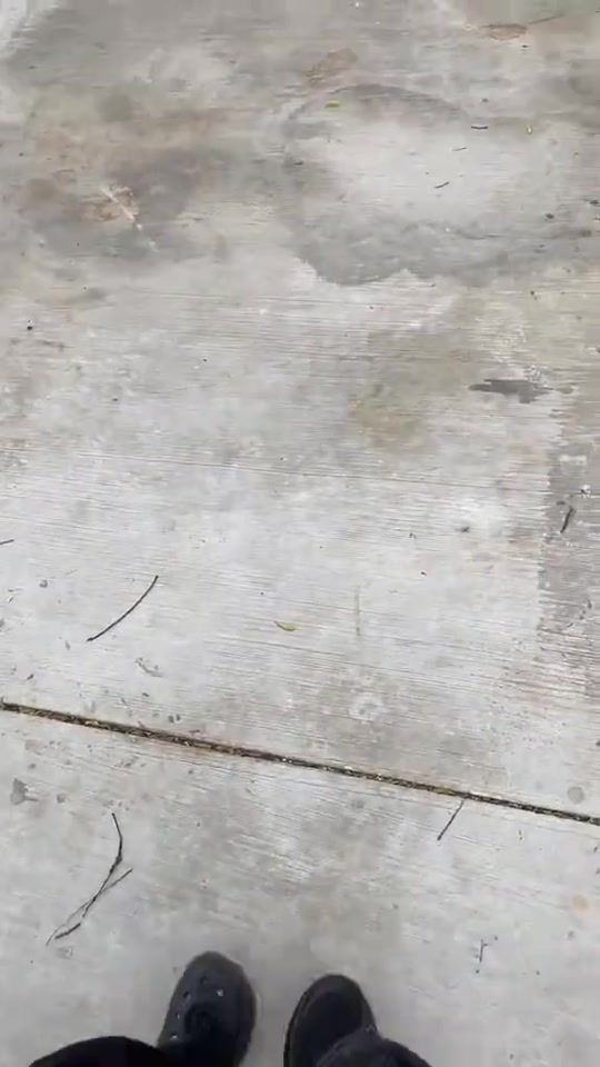 TikTok video thumbnail by sonamdorji5656