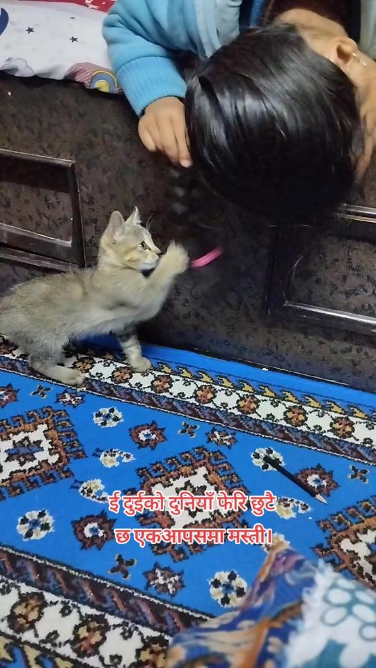 TikTok video thumbnail by rukmanithapa6