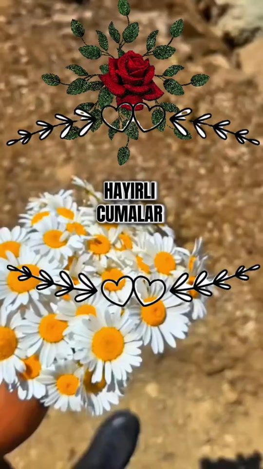 TikTok video thumbnail by _elif_gibi_