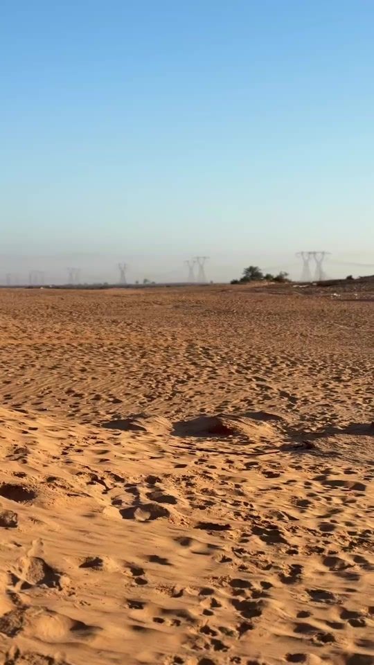 TikTok video thumbnail by alkorgle