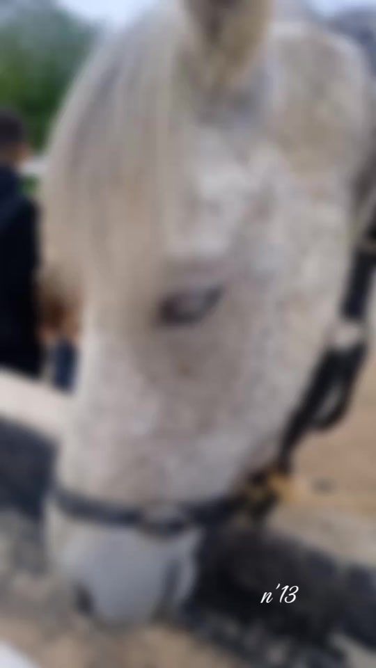 TikTok video thumbnail by 13sndrine