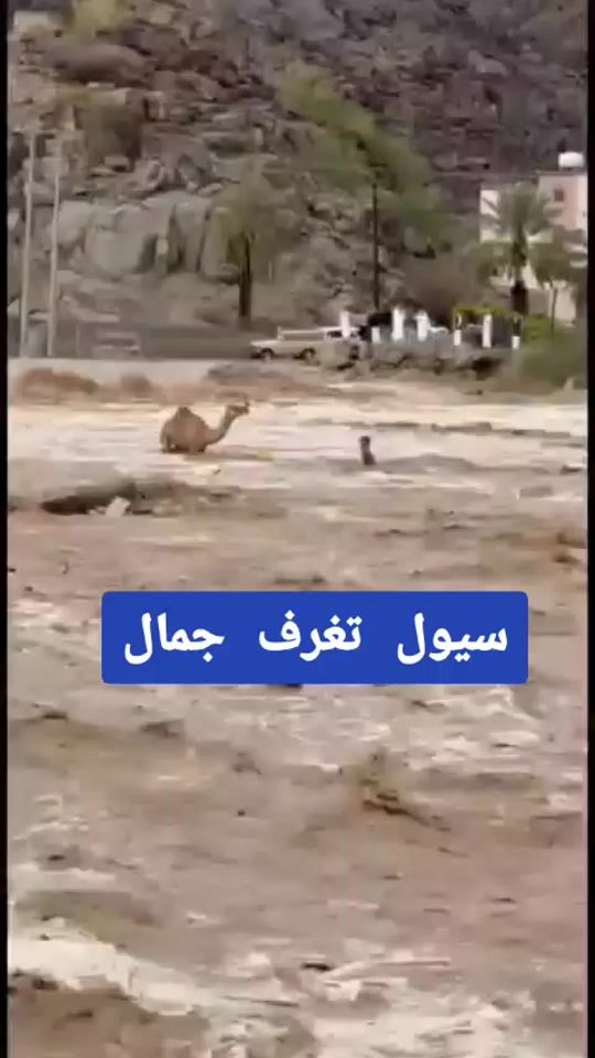 TikTok video thumbnail by majedfs3