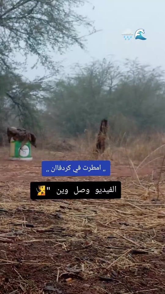 TikTok video thumbnail by fadlalnaby
