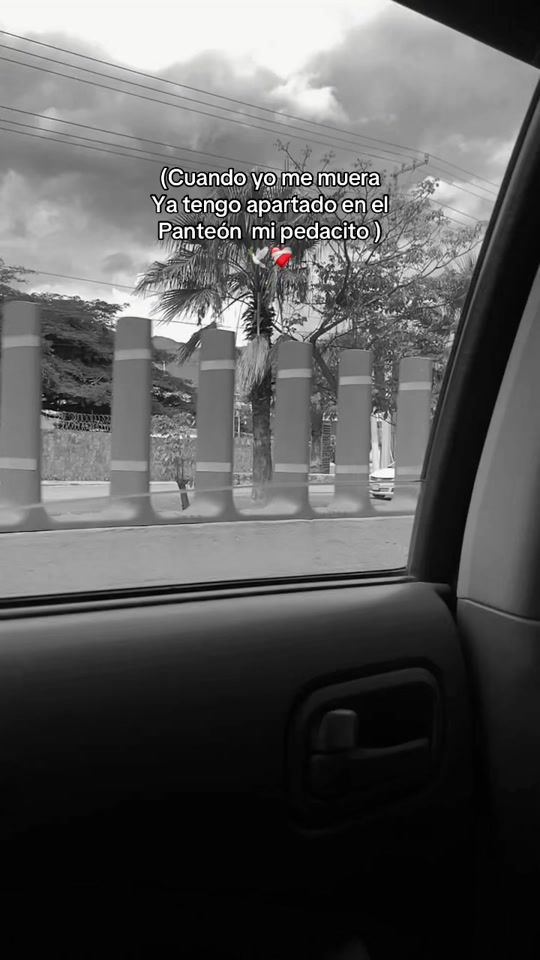 TikTok video thumbnail by mill_859