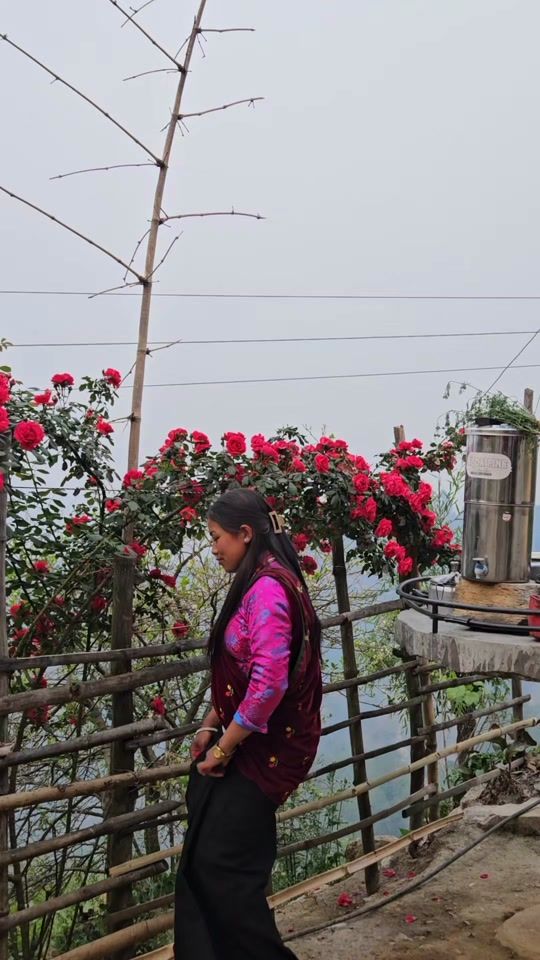 TikTok video thumbnail by dipa.magar109