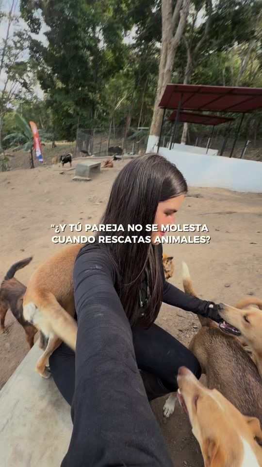 TikTok video thumbnail by humanalaura