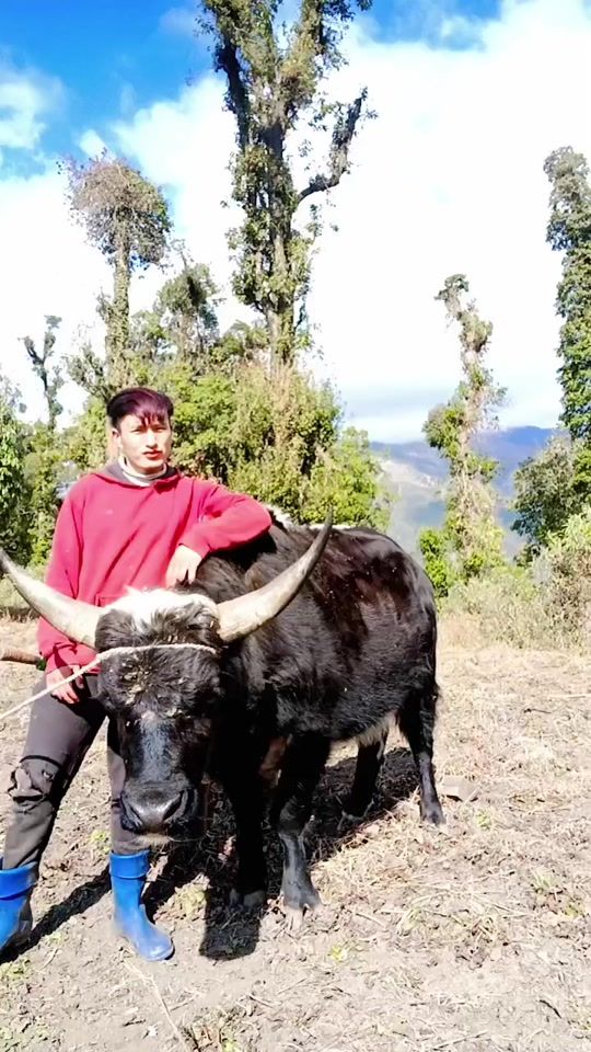 TikTok video thumbnail by azhang.brokpa