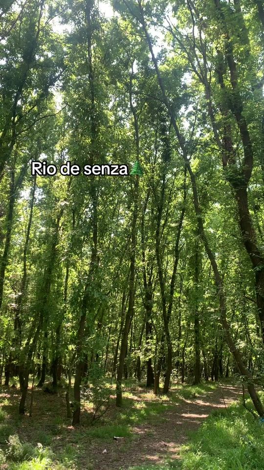 TikTok video thumbnail by user_keia
