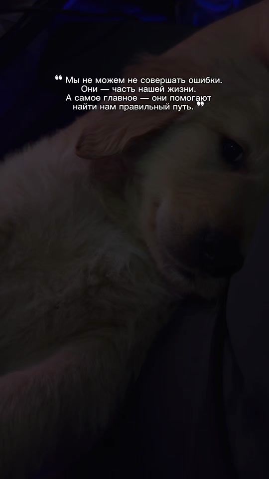 TikTok video thumbnail by kenan777.0
