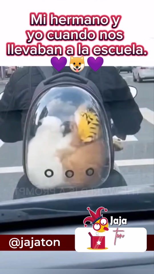 TikTok video thumbnail by jajaton1